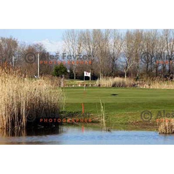 Green at 17th hole at Grado golf course, Italy