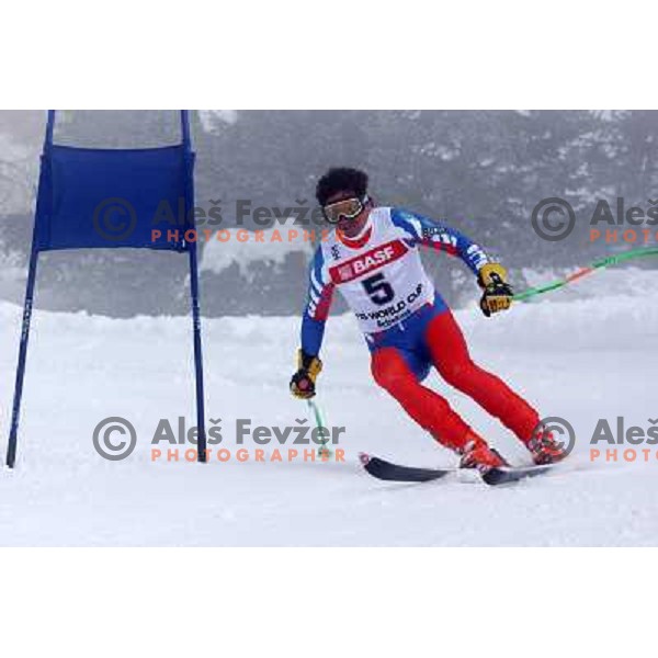 Duplicate of Alberto Tomba at Retro Ski Fest - vintage skiing day at Krvavec Ski resort, Cerklje, Slovenia on March 2, 2013 