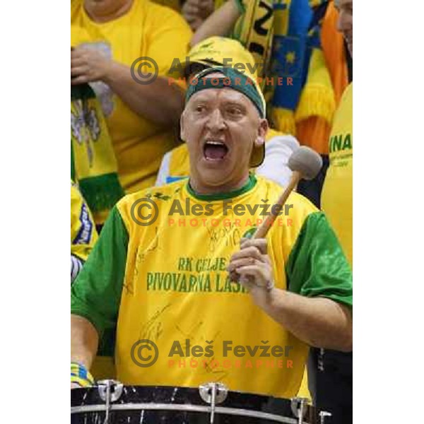 Fans of Celje Pivovarna Lasko in action during handball match Cimos Koper-Celje Pivovarna Lasko in semi-final of Slovenian Handball Cup played in Tri Lilije Hall, Lasko, Slovenia on March 2, 2013 