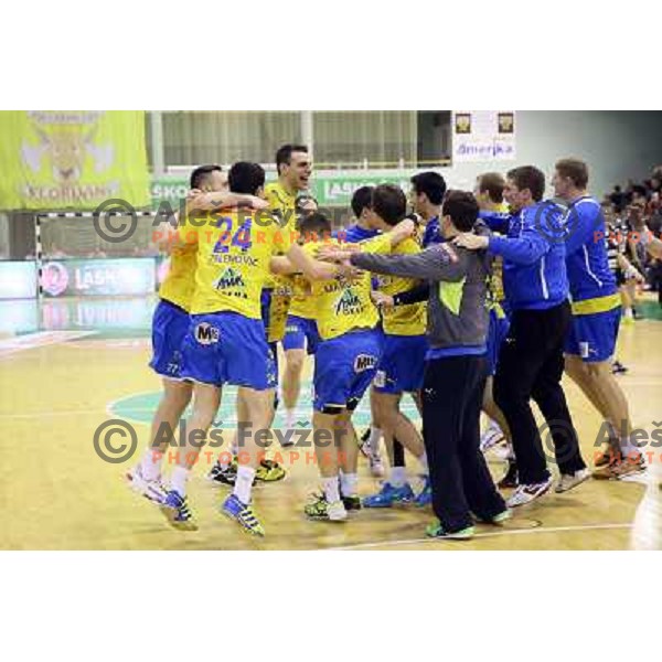 Luka Zvizej and players of Celje celebrate victory at handball match Gorenje Velenje-Celje Pivovarna Lasko in the Final of Slovenian Handball Cup played in Tri Lilije Hall, Lasko, Slovenia on March 3, 2013 