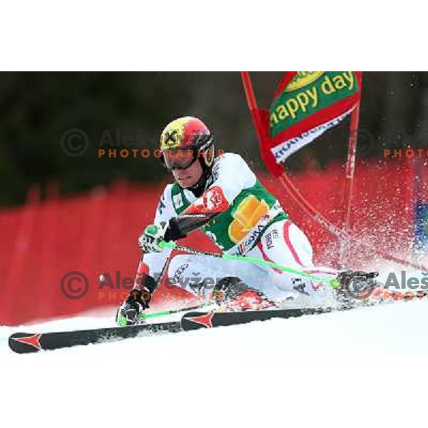 Marcel Hirscher (AUT) skiing in first run of AUDI FIS Ski World Cup Giant Slalom for 52. Vitranc Cup in Kranjska Gora, Slovenia on March 9 ,2013 