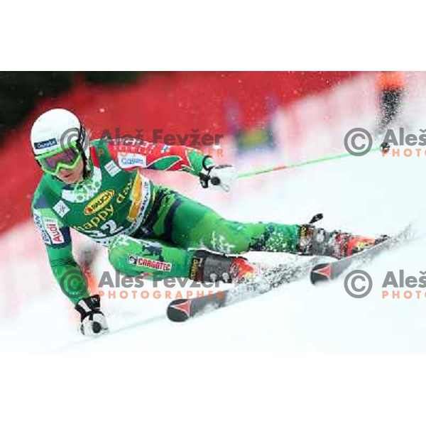 skiing in first run of AUDI FIS Ski World Cup Giant Slalom for 52. Vitranc Cup in Kranjska Gora, Slovenia on March 9 ,2013 