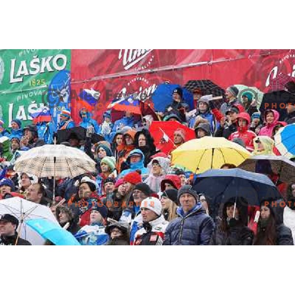Fans at AUDI FIS Ski World Cup Slalom for 52.Vitranc Cup in Kranjska gora, Slovenia on March 10, 2013 