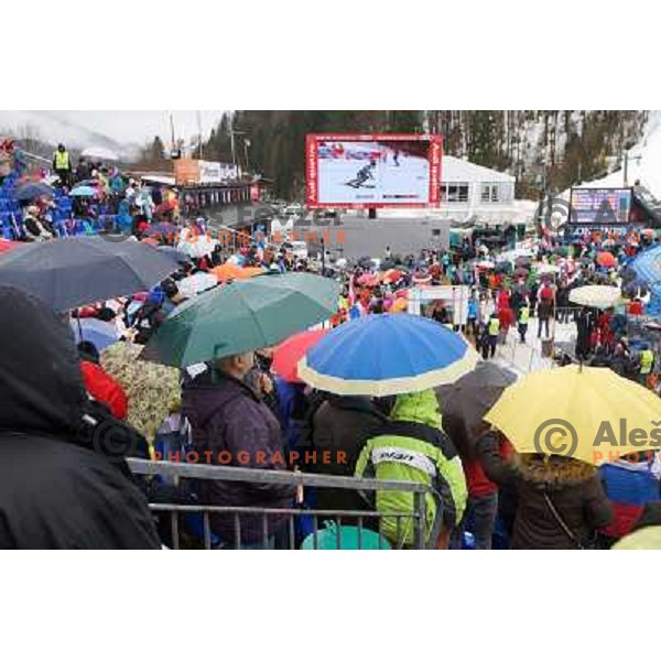 Fans at AUDI FIS Ski World Cup Slalom for 52.Vitranc Cup in Kranjska gora, Slovenia on March 10, 2013 