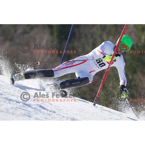 Martin Bischof (AUT) at Europa Cup slalom in Kranjska gora, Slovenia on March 11, 2013 