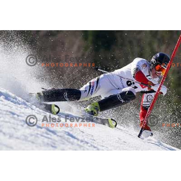 Emil Johansson (SWE) at Europa Cup slalom in Kranjska gora, Slovenia on March 11, 2013 