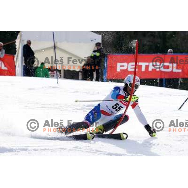 Bernhard Niederberger (SUI) at Europa Cup slalom in Kranjska gora, Slovenia on March 11, 2013 