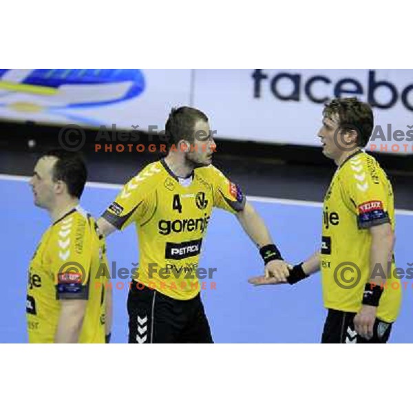Fahrudin Melic during eight-final of EHF Velux Men\'s Champions league handball match RK Gorenje Velenje-Flensburg, played in Red Hall, Velenje, Slovenia on March 17, 2013 