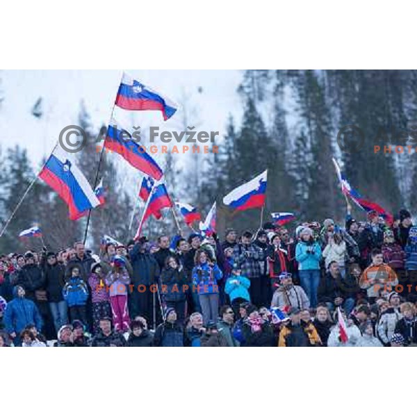 Spectators during of FIS Ski Jumping World Cup Planica, March 22th, 2013 in Planica, Slovenia 