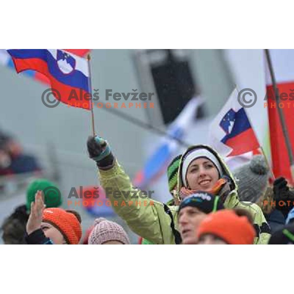 Spectators during final competition at FIS Ski jumping World Cup Final in Planica, Slovenia on March 24, 2013 