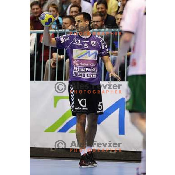Marko Tarbochia during handball match Maribor Branik - Frisch aux Goppingen, EHF cup, played in Tabor hall, 20.4.2013, Maribor 