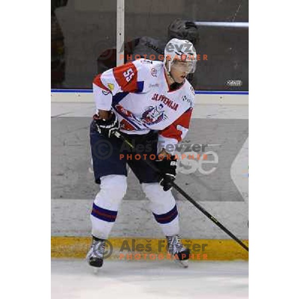 Robert Sabolic during friendly ice hockey match Slovenia - Austria, played in Ledna hall, 19.4.2013, Maribor 