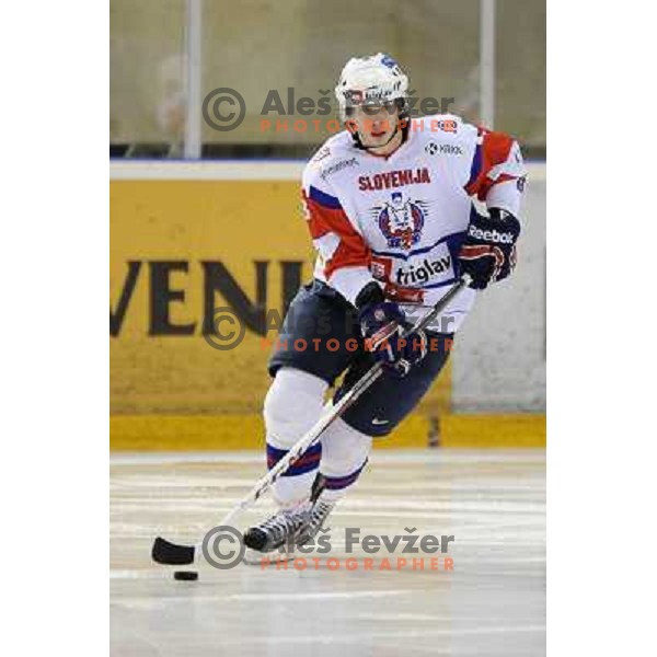 during friendly ice hockey match Slovenia - Austria, played in Ledna hall, 19.4.2013, Maribor 