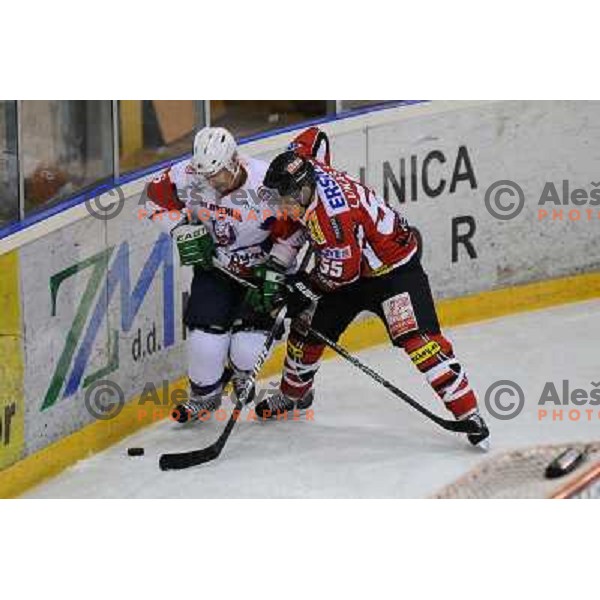 Ales Music, Robert Lukas during friendly ice hockey match Slovenia - Austria, played in Ledna hall, 19.4.2013, Maribor 