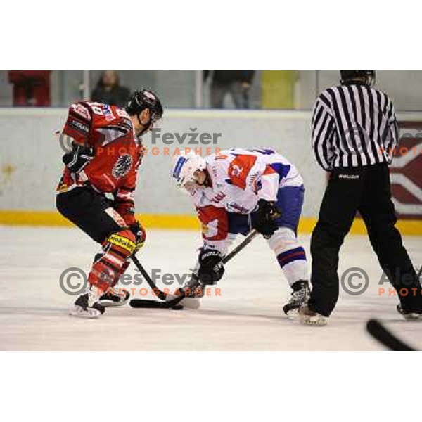 Daniel Oberkofler, Rok Leber during friendly ice hockey match Slovenia - Austria, played in Ledna hall, 19.4.2013, Maribor 