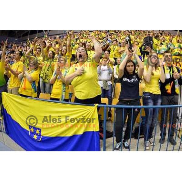 Fans of Celje Pivovarna Lasko in action during handball match Celje PL- Gorenje in round 5 of second phase of Prva liga, played in Zlatorog Arena, Celje on April 20, 2013 