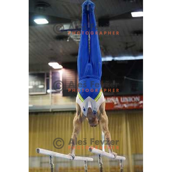 Alen Dimic of Slovenia in action during Artistic Gymnastics World Challenge Cup in Hala Tivoli, Ljubljana, Slovenia on April 28, 2013Alen Dimic of Slovenia in action during Artistic Gymnastics World Challenge Cup in Hala Tivoli, Ljubljana, Slovenia on A
