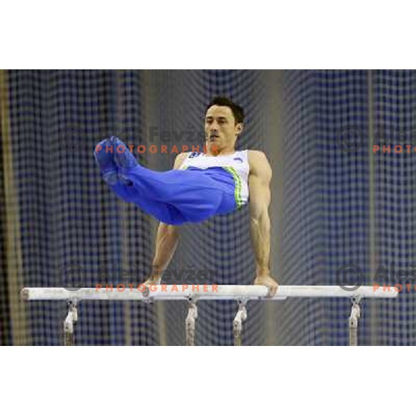 Alen Dimic of Slovenia in action during Artistic Gymnastics World Challenge Cup in Hala Tivoli, Ljubljana, Slovenia on April 28, 2013Alen Dimic of Slovenia in action during Artistic Gymnastics World Challenge Cup in Hala Tivoli, Ljubljana, Slovenia on A