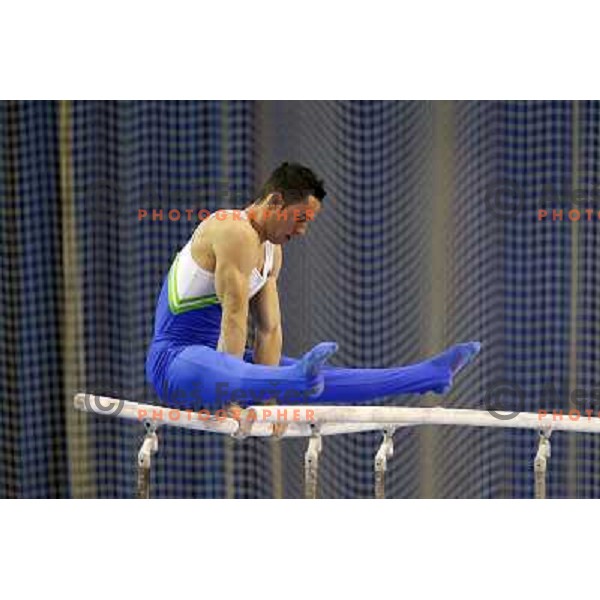Alen Dimic of Slovenia in action during Artistic Gymnastics World Challenge Cup in Hala Tivoli, Ljubljana, Slovenia on April 28, 2013Alen Dimic of Slovenia in action during Artistic Gymnastics World Challenge Cup in Hala Tivoli, Ljubljana, Slovenia on A