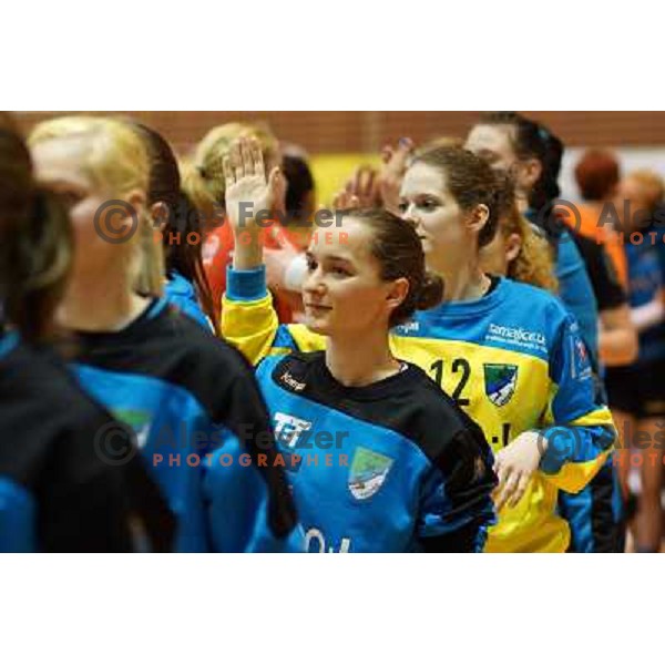 of Gen I Zagorje in action in the Final of Slovenian Handball Cup between Krim Mercator and Gen I Zagorje, played in Galjevica Hall, Ljubljana on April 21, 2013 