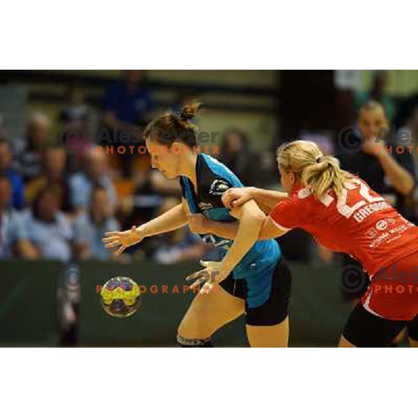 of Gen I Zagorje in action in the Final of Slovenian Handball Cup between Krim Mercator and Gen I Zagorje, played in Galjevica Hall, Ljubljana on April 21, 2013 