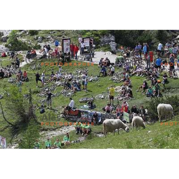 finish of 3rd stage Skofja Loka-Vrsic at Tour of Slovenia cycling race on June 15, 2013 