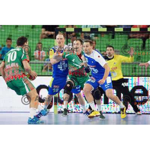 Miha Zvizej, Luka Zvizej of Slovenia in action during handball match Slovenia-Belarus in last round of qualification for European Championships 2014, played in Arena Stozice, Ljubljana, Slovenia on June 16, 2013 