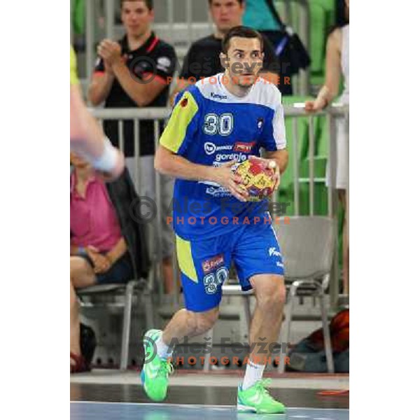 Dragan Gajic of Slovenia during handball match Slovenia-Belarus in last round of qualification for European Championship 2014, played in Stozice Arena, Ljubljana, Slovenia on June 16, 2013 
