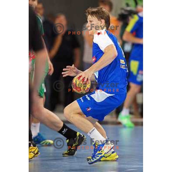 Jure Dolenec of Slovenia during handball match Slovenia-Belarus in last round of qualification for European Championship 2014, played in Stozice Arena, Ljubljana, Slovenia on June 16, 2013 