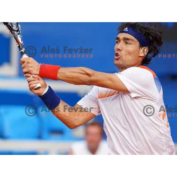 Fabio Fognini of Italy playing in second round of ATP Vegeta Croatia Open tennis tournament in Umag, Croatia on July 24,2013 