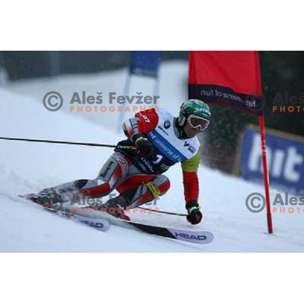 Mario Reiter at first run of second HIT Ski Legends Race in Kranjska gora, Slovenia hosted by Jure Kosir
