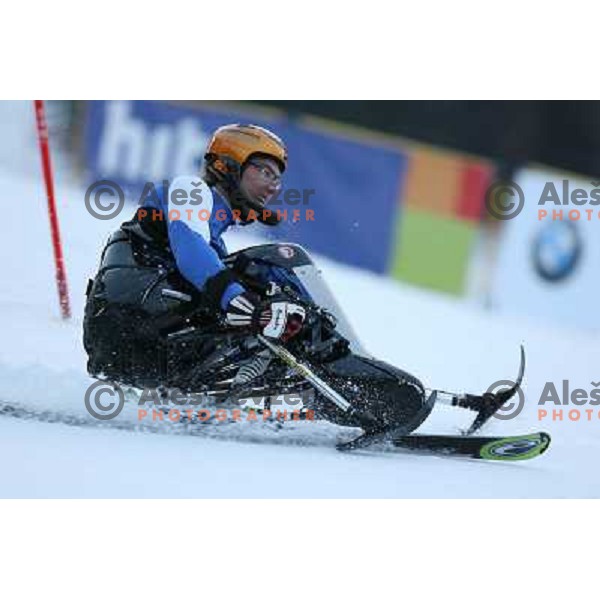 Gal Jakic as forrunner at first run of second HIT Ski Legends Race in Kranjska gora, Slovenia hosted by Jure Kosir