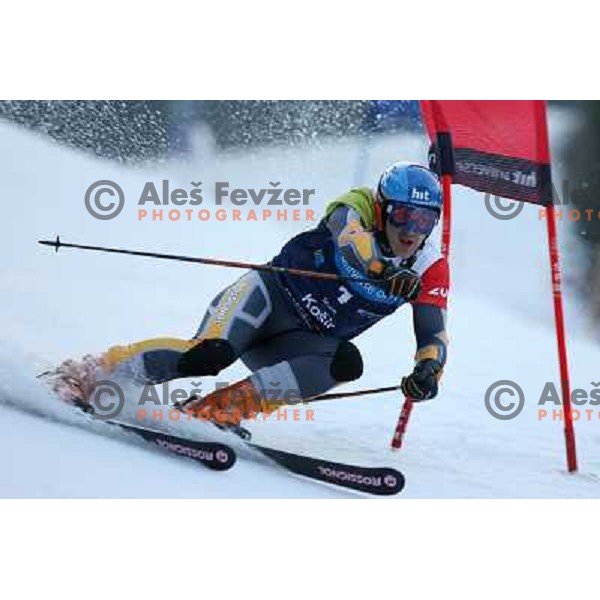 Jure Kosir at first run of second HIT Ski Legends Race in Kranjska gora, Slovenia hosted by Jure Kosir