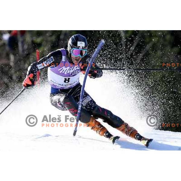 Ted Ligety during first run of FIS Vitranc world cup slalom race in Kranjska Gora, Slovenia