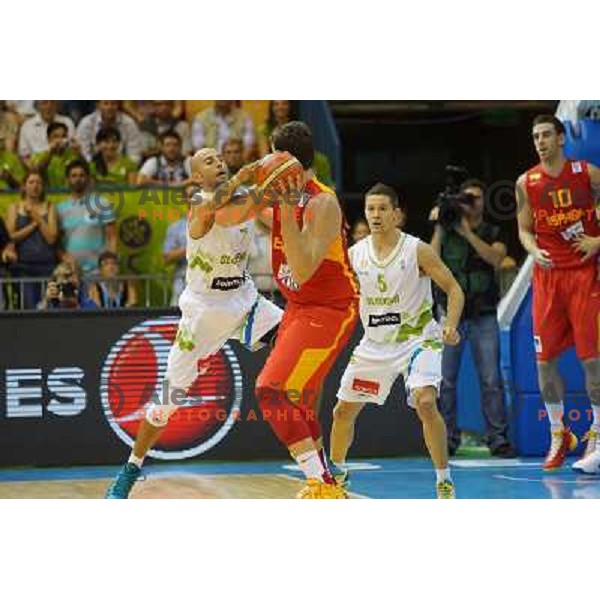 Nebojsa Joksimovic of Slovenia in action during basketball match Slovenia-Spain in Preliminary round group C of Eurobasket 2013, played in Arena Zlatorog , Celje, Slovenia on September 5, 2013 