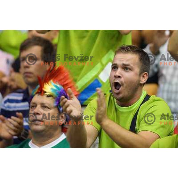 Fans of Slovenia in action during basketball match Slovenia-Spain in Preliminary round group C at EuroBasket 2013, played in Arena Zlatorog, Celje, Slovenia on September 5, 2013 