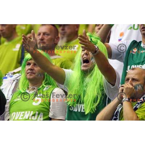 Fans of Slovenia in action during basketball match Slovenia-Spain in Preliminary round group C at EuroBasket 2013, played in Arena Zlatorog, Celje, Slovenia on September 5, 2013 
