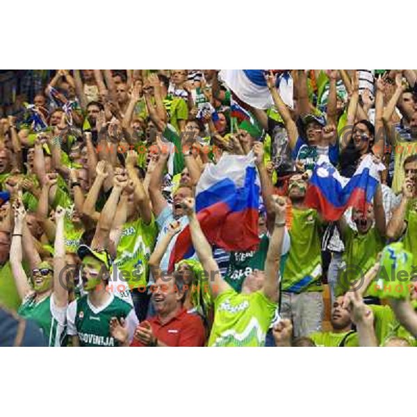 Fans of Slovenia in action during basketball match Slovenia-Spain in Preliminary round group C at EuroBasket 2013, played in Arena Zlatorog, Celje, Slovenia on September 5, 2013 