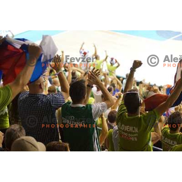 Fans of Slovenia in action during basketball match Slovenia-Spain in Preliminary round group C at EuroBasket 2013, played in Arena Zlatorog, Celje, Slovenia on September 5, 2013 