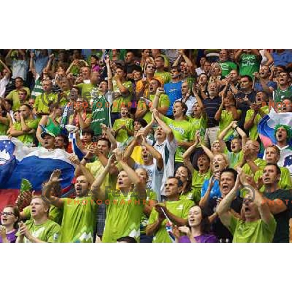 Fans of Slovenia in action during basketball match Slovenia-Spain in Preliminary round group C at EuroBasket 2013, played in Arena Zlatorog, Celje, Slovenia on September 5, 2013 