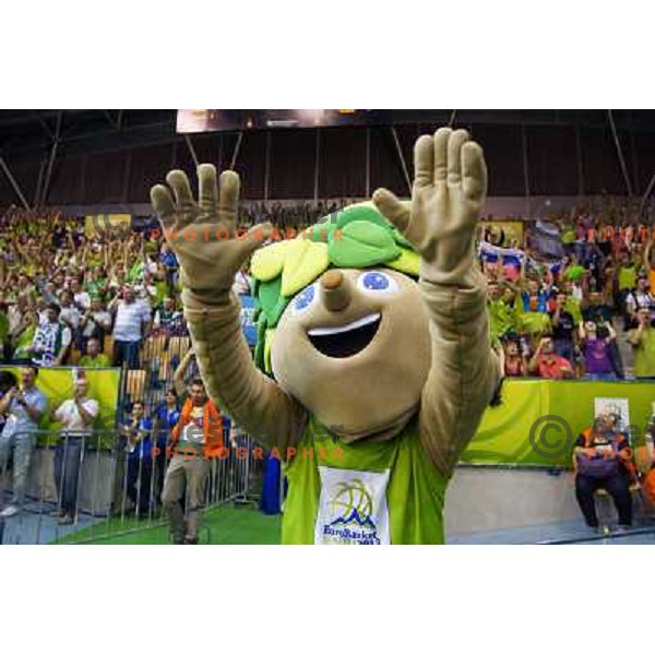 Lipko and Fans of Slovenia in action during basketball match Slovenia-Spain in Preliminary round group C at EuroBasket 2013, played in Arena Zlatorog, Celje, Slovenia on September 5, 2013 