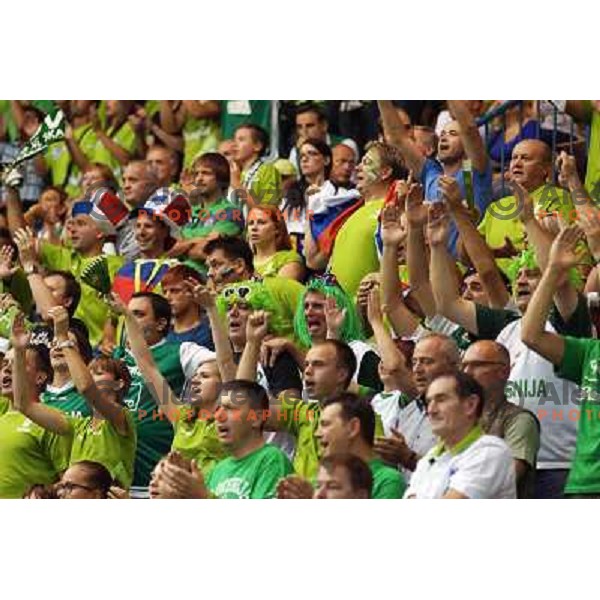 Fans of Slovenia in action during basketball match Slovenia-Spain in Preliminary round group C at EuroBasket 2013, played in Arena Zlatorog, Celje, Slovenia on September 5, 2013 