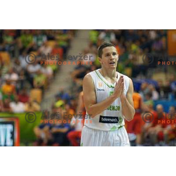 Jaka Lakovic of Slovenia in action during basketball match Slovenia-Spain in Preliminary round group C at EuroBasket 2013, played in Arena Zlatorog, Celje, Slovenia on September 5, 2013 