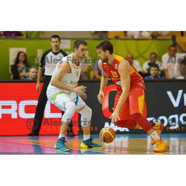 Mirza Begic of Slovenia and Marc Gasol of Spain in action during basketball match Slovenia-Spain in Preliminary round group C at EuroBasket 2013, played in Arena Zlatorog, Celje, Slovenia on September 5, 2013 