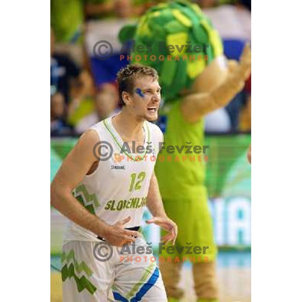 Zoran Dragic of Slovenia in action during basketball match Slovenia-Spain in Preliminary round group C at EuroBasket 2013, played in Arena Zlatorog, Celje, Slovenia on September 5, 2013 