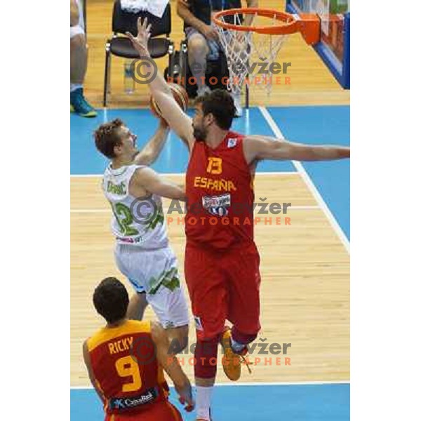 Zoran Dragic of Slovenia in action during basketball match Slovenia-Spain in Preliminary round group C at EuroBasket 2013, played in Arena Zlatorog, Celje, Slovenia on September 5, 2013 