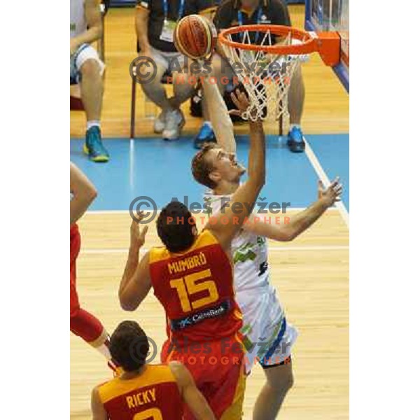 Zoran Dragic of Slovenia in action during basketball match Slovenia-Spain in Preliminary round group C at EuroBasket 2013, played in Arena Zlatorog, Celje, Slovenia on September 5, 2013 