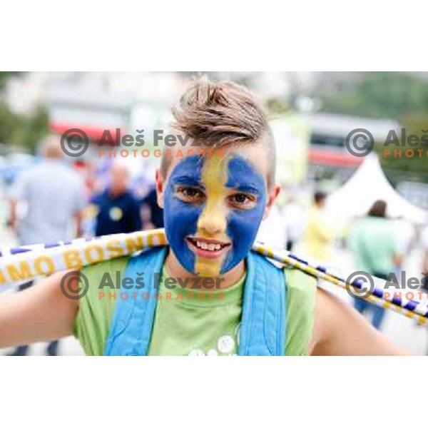 Fans during basketball match Montenegro and Bosnia and Hercegovina in Preliminary round group B at EuroBasket 2013, played in Arena Podmezakla on September 6th, Jesenice, Slovenia 