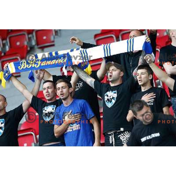 Fans during basketball match Montenegro and Bosnia and Hercegovina in Preliminary round group B at EuroBasket 2013, played in Arena Podmezakla on September 6th, Jesenice, Slovenia 