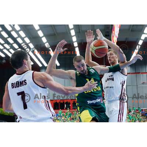 Jonas Valanciunas of Lithuania during basketball match Latvia and Lithuania in Preliminary round group B at EuroBasket 2013, played in Arena Podmezakla on September 6th, Jesenice, Slovenia 